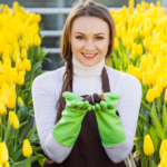 Sorting, peeling tulip bulbs