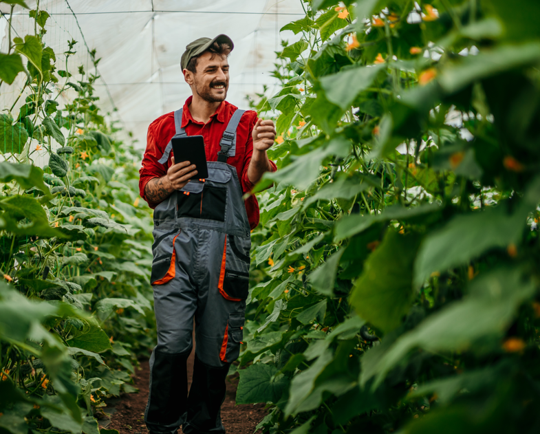 Team leader (greenhouse Luttelgeest) 